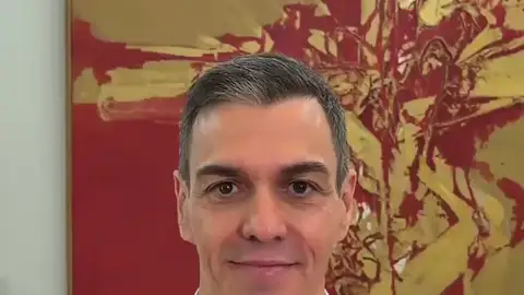 Sánchez se viste con la camiseta de la selección española para celebrar los 22 millones de afiliados: "España tiene el mejor equipo" Sánchez se viste con la camiseta de la selección española para celebrar los 22 millones de afiliados: "España tiene el mejor equipo"