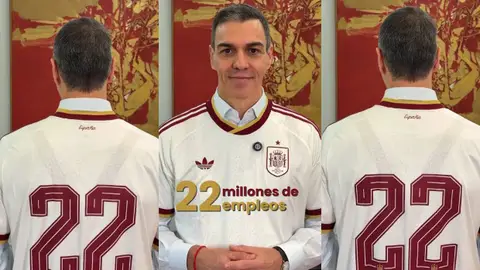 Pedro Sánchez en su mensaje sobre los afiliados Pedro Sánchez en su mensaje sobre los afiliados