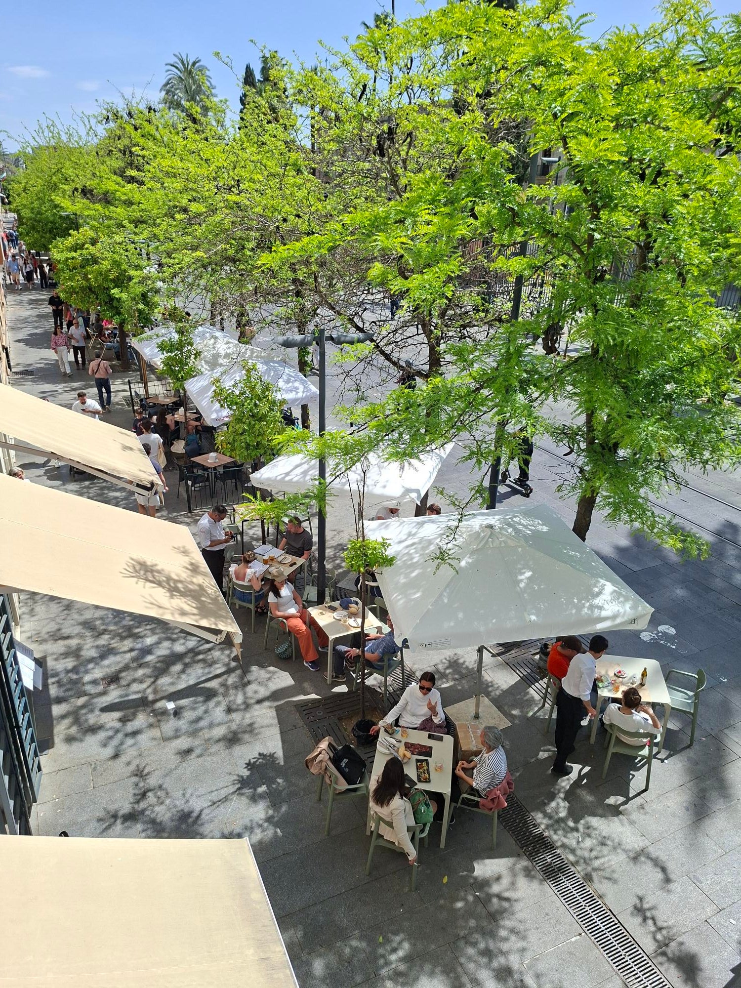 Bares y restaurantes de Sevilla aumentan un 8% sus ventas durante la semana santa 2026 Bares y restaurantes de Sevilla aumentan un 8% sus ventas durante la semana santa 2026