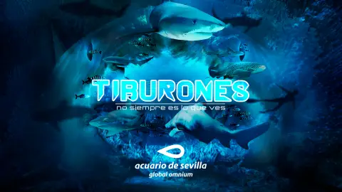 El Acuario de Sevilla inaugura “Tiburones. No siempre es lo que ves” El Acuario de Sevilla inaugura “Tiburones. No siempre es lo que ves”
