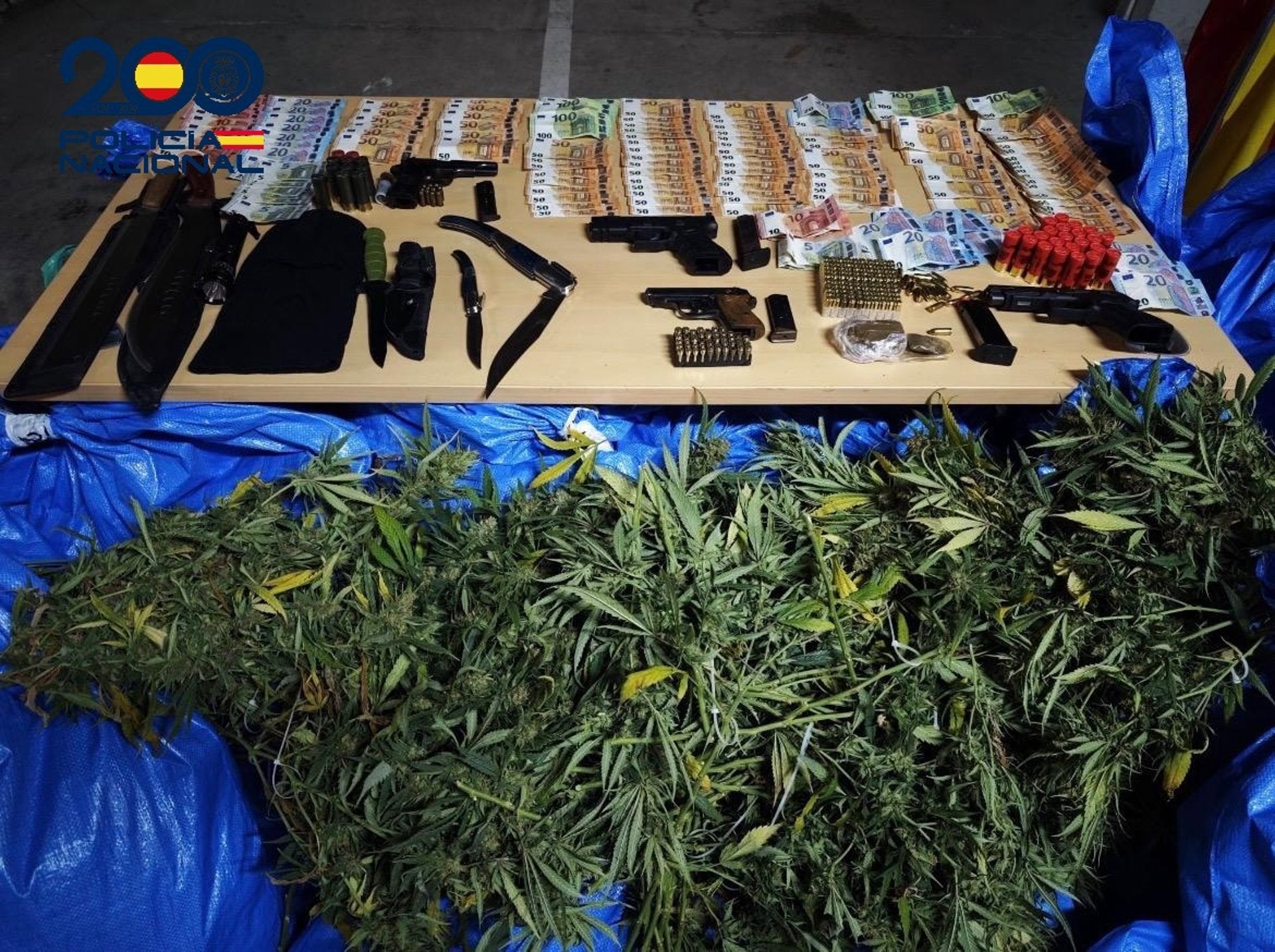 Detenidos 12 miembros de varios clanes familiares dedicados al cultivo de marihuana en el Polígono Sur Detenidos 12 miembros de varios clanes familiares dedicados al cultivo de marihuana en el Polígono Sur