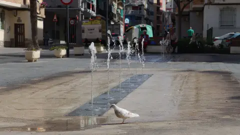 Benidorm inicia el expediente de contratación del nuevo servicio de mantenimiento de las fuentes ornamentales Benidorm inicia el expediente de contratación del nuevo servicio de mantenimiento de las fuentes ornamentales