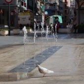 Benidorm inicia el expediente de contratación del nuevo servicio de mantenimiento de las fuentes ornamentales 