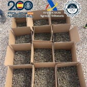 Cogollos de marihuana intervenidos en la operación.