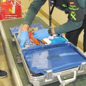 Un agente revisa la maleta en la que fue localizada la droga. 