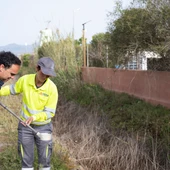 La Diputación de Castellón reduce la población de mosquitos tras las lluvias con tratamientos intensivos Entradilla: La Diputación de Castellón reduce la población de mosquitos tras las lluvias con tratamientos intensivos Entradilla: