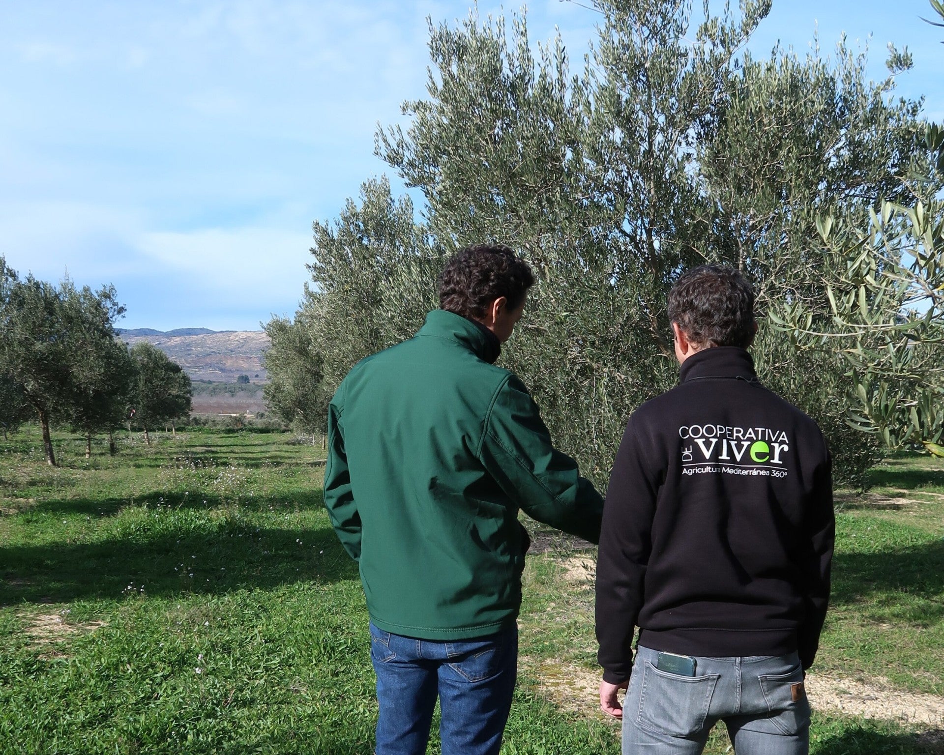 GO Viver impulsa la adaptación al cambio climático y la prevención de incendios en el interior de Castellón GO Viver impulsa la adaptación al cambio climático y la prevención de incendios en el interior de Castellón