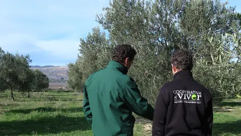 GO Viver impulsa la adaptación al cambio climático y la prevención de incendios en el interior de Castellón GO Viver impulsa la adaptación al cambio climático y la prevención de incendios en el interior de Castellón