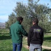 GO Viver impulsa la adaptación al cambio climático y la prevención de incendios en el interior de Castellón