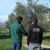 GO Viver impulsa la adaptación al cambio climático y la prevención de incendios en el interior de Castellón GO Viver impulsa la adaptación al cambio climático y la prevención de incendios en el interior de Castellón