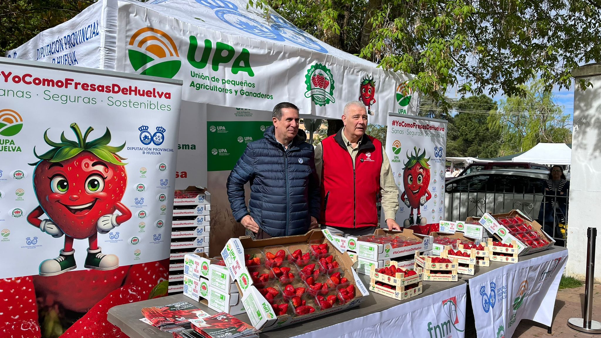 UPA defiende en Cuenca la fresa de Huelva y denuncia la brecha de precios entre productor y consumidor UPA defiende en Cuenca la fresa de Huelva y denuncia la brecha de precios entre productor y consumidor