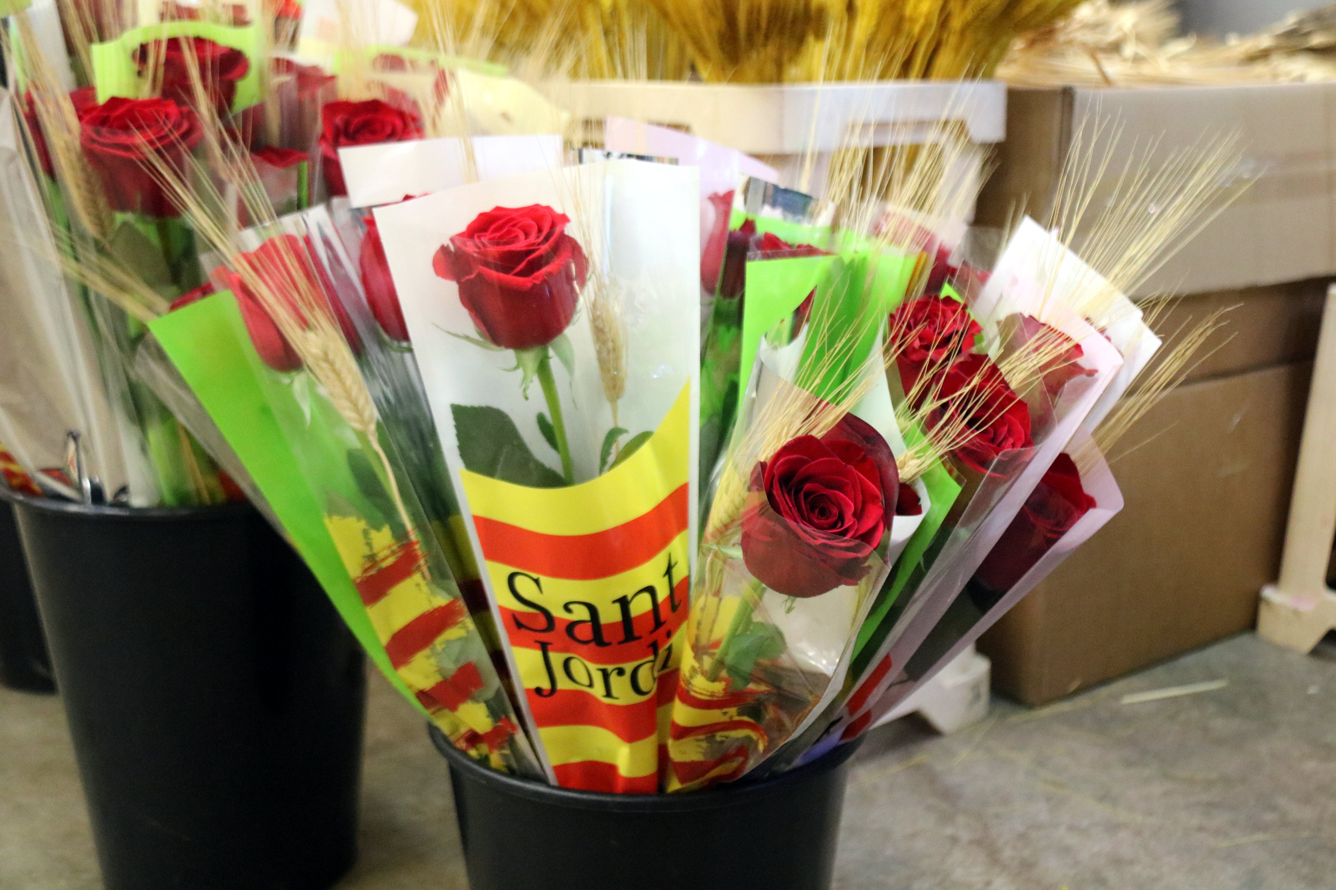Els catalans compraran uns 7 milions de roses aquest Sant Jordi Els catalans compraran uns 7 milions de roses aquest Sant Jordi