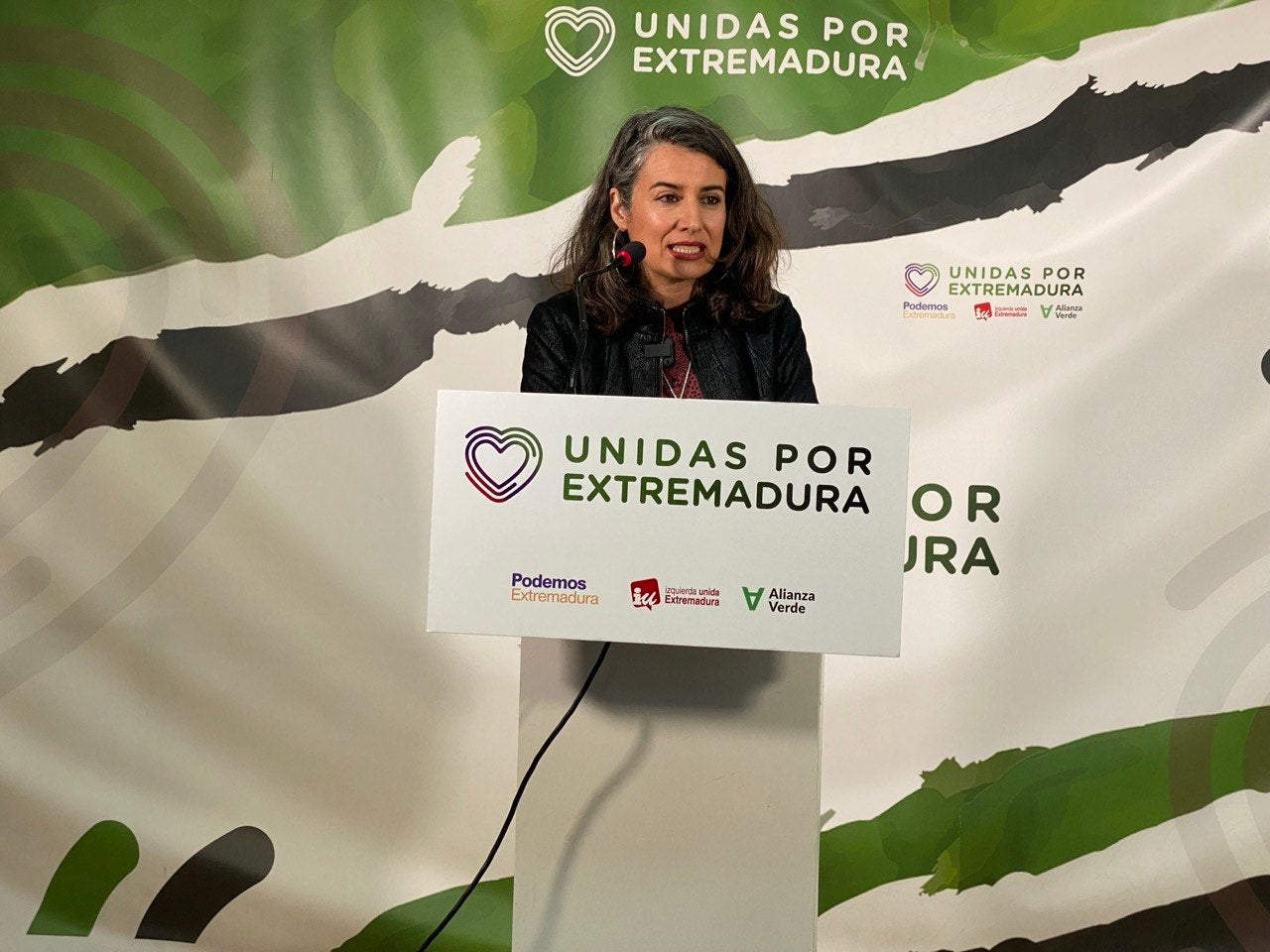 Irene de Miguel: “Lo mejor que le puede pasar a Extremadura en estos momentos es que volvamos a elecciones” Irene de Miguel: “Lo mejor que le puede pasar a Extremadura en estos momentos es que volvamos a elecciones”