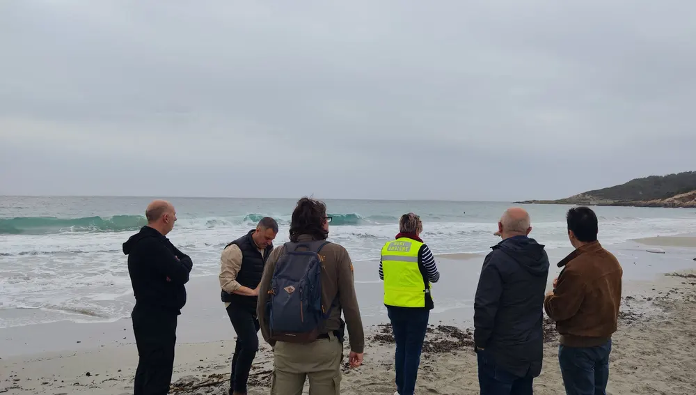 Un momento de la visita a la zona afectada con el alcalde Vicent Roig y la concejala de Medio Ambiente, Felicia Bocú Un momento de la visita a la zona afectada con el alcalde Vicent Roig y la concejala de Medio Ambiente, Felicia Bocú