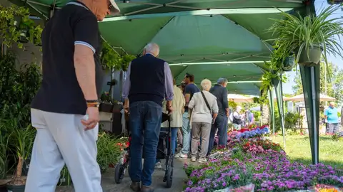 Abierto el plazo para participar en el III Mercado de las Flores de Mérida, que se celebrará del 28 al 30 de abril Abierto el plazo para participar en el III Mercado de las Flores de Mérida, que se celebrará del 28 al 30 de abril