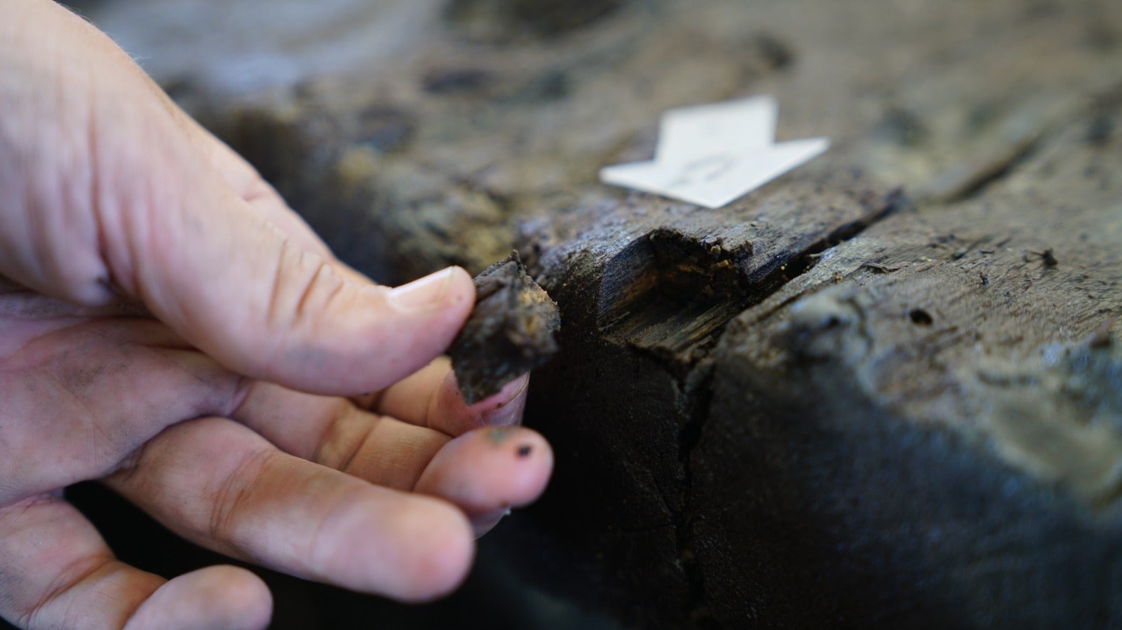 El pecio 'Delta I' esconde un buque del siglo XVII, según investigadores del IAPH El pecio 'Delta I' esconde un buque del siglo XVII, según investigadores del IAPH