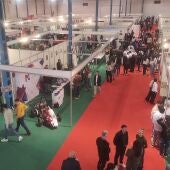 II Feria Provincial de Formación Profesional (Valdepeñas)