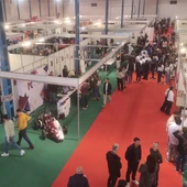 II Feria Provincial de Formación Profesional (Valdepeñas) II Feria Provincial de Formación Profesional (Valdepeñas)