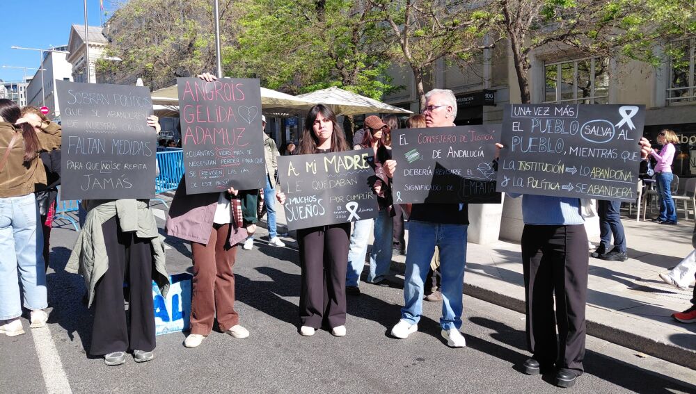Víctimas del accidente de Adamuz, a las puertas del Congreso