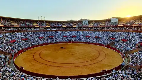 Coso de los califas Coso de los califas