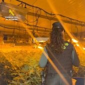 La Guardia Civil de Benicarló detiene a un hombre por tráfico de drogas, cultivo de marihuana y fraude de fluido eléctrico 
