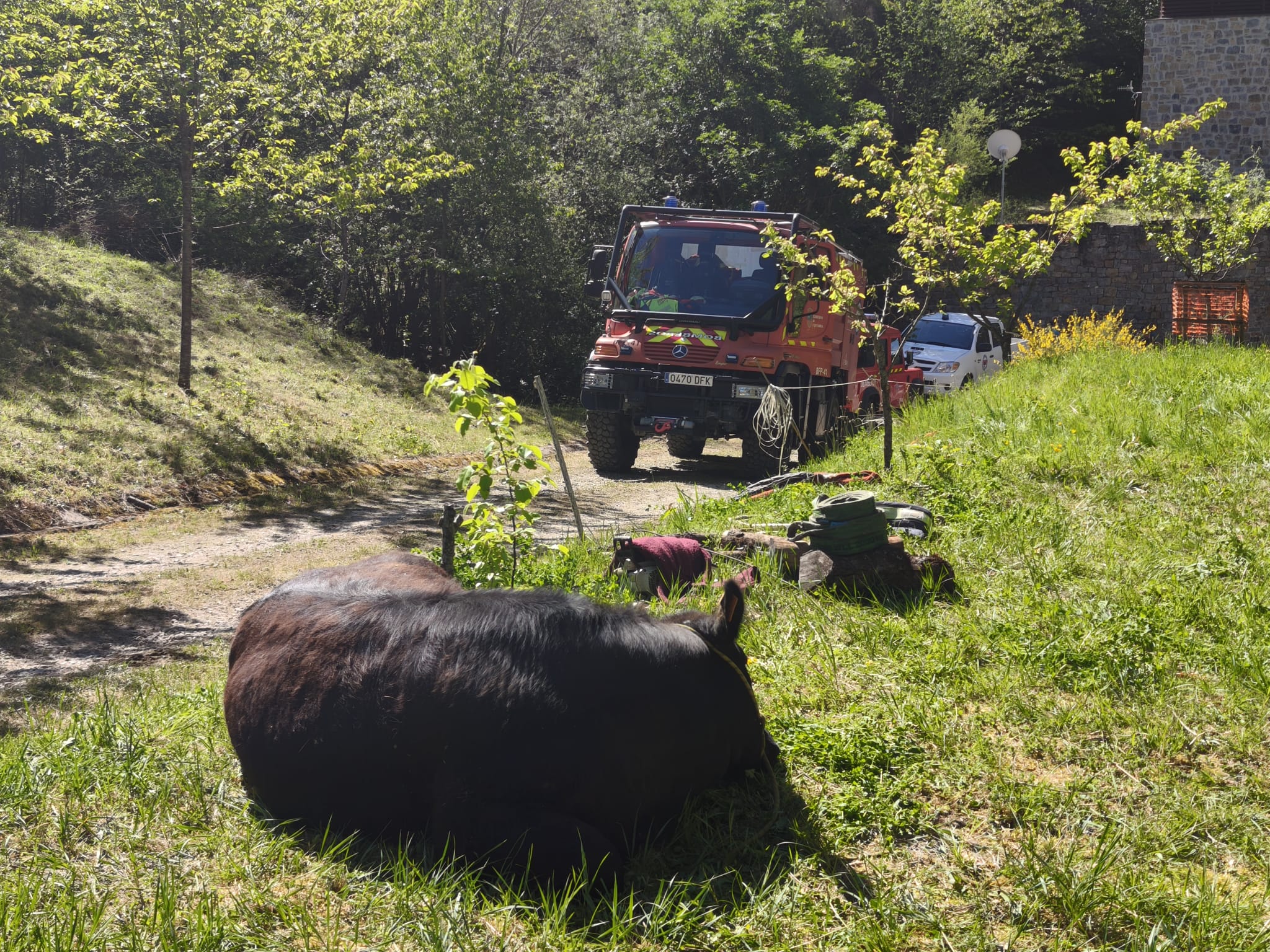 Rescatan con una grúa a una vaca caída al río en Vega de Liébana Rescatan con una grúa a una vaca caída al río en Vega de Liébana