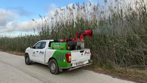 Trabajos de fumigación en una zona de Elche. Trabajos de fumigación en una zona de Elche.