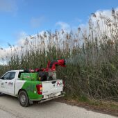 Trabajos de fumigación en una zona de Elche.