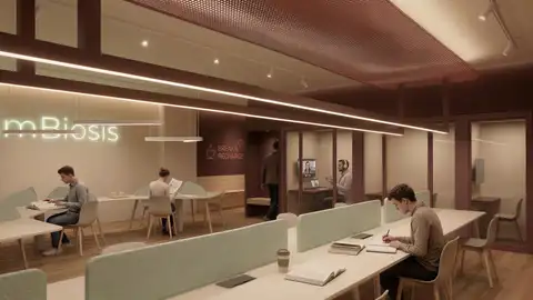 Simulación de una sala de estudio tras la transformación que va a impulsar el Ayuntamiento de Elche. Simulación de una sala de estudio tras la transformación que va a impulsar el Ayuntamiento de Elche.