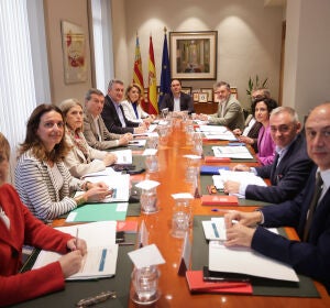 El Pleno del Consell se ha reunido este viernes en Alicante