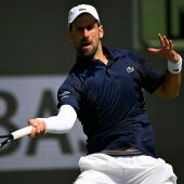 Djokovic, baja en el Madrid Open al no estar recuperado de su lesión de hombro