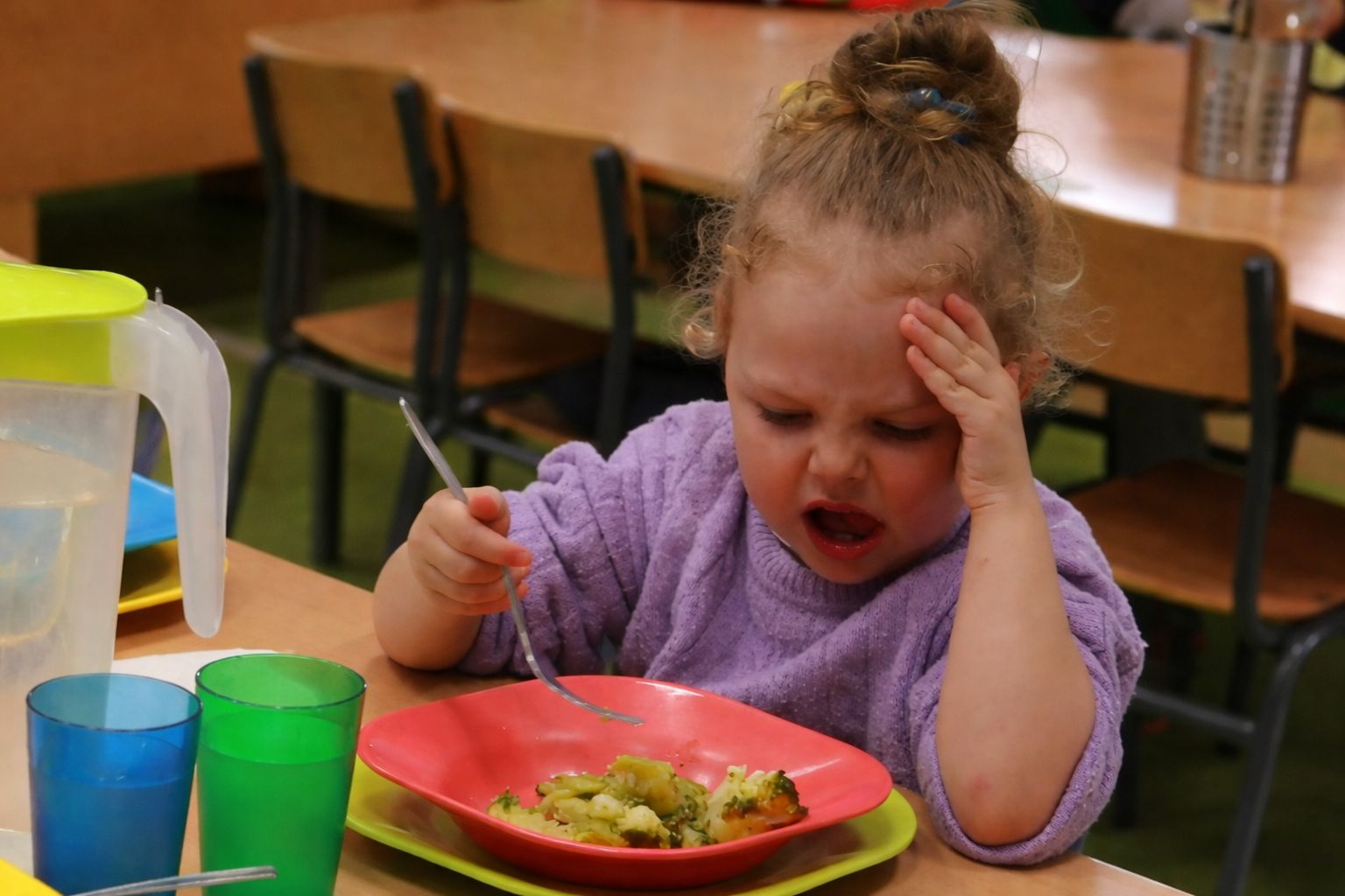Entra en vigor el nuevo decreto de comedores escolares con más verdura y pescado: "A los niños les cuesta un poco más" Entra en vigor el nuevo decreto de comedores escolares con más verdura y pescado: "A los niños les cuesta un poco más"