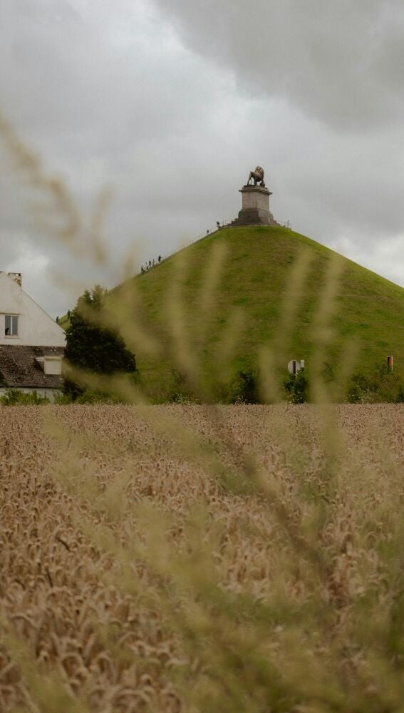 Descubriendo Valonia