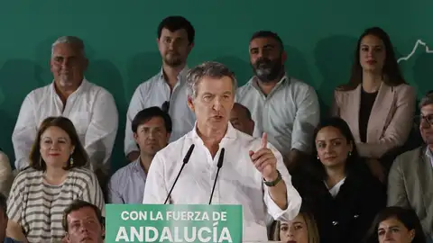 El presidente del PP, Alberto Núñez Feijóo, durante el acto en Córdoba El presidente del PP, Alberto Núñez Feijóo, durante el acto en Córdoba