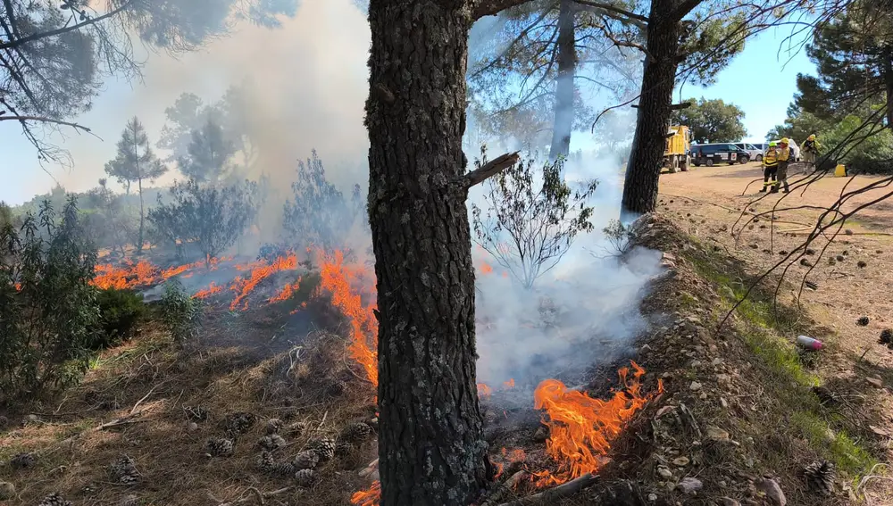 Quemas prescritas en Almuradiel Quemas prescritas en Almuradiel