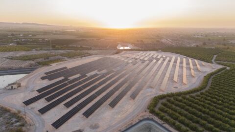 Huerto Solar Albatera Huerto Solar Albatera