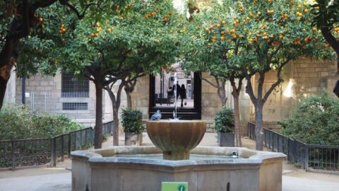 Font dels Jardins de Rubi&oacute; i Lluch