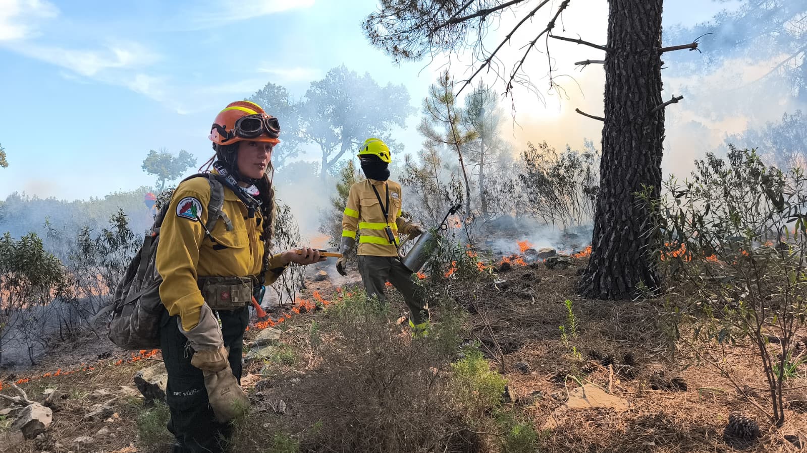 Quemas prescritas en Almuradiel Quemas prescritas en Almuradiel