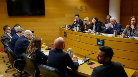 Vista general de la comisión de investigación sobre la dana de Les Corts, que se constituyó el 27 de enero de 2025 Vista general de la comisión de investigación sobre la dana de Les Corts, que se constituyó el 27 de enero de 2025