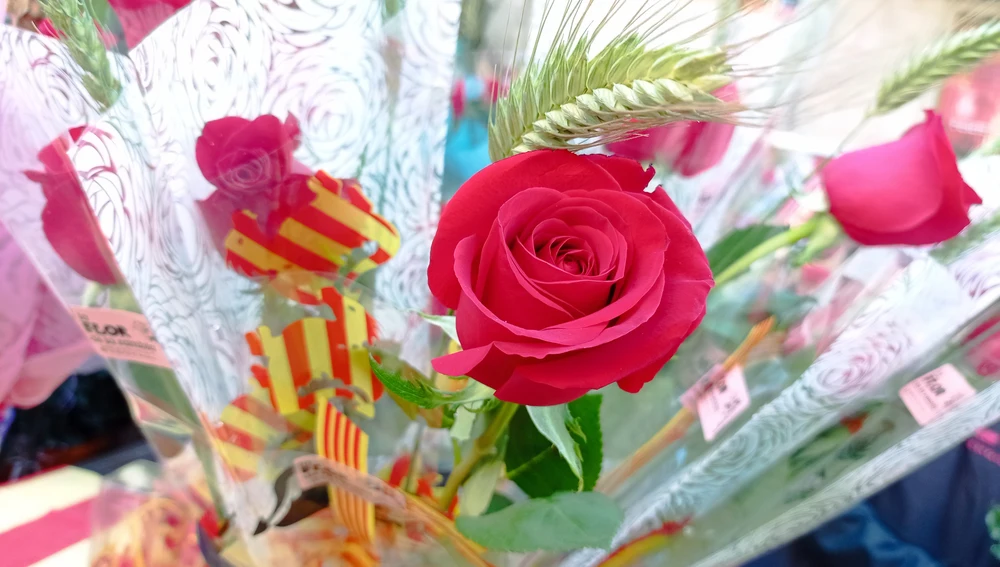 La rosa vermella tradicional és la que té més sortida per Sant Jordi i la majoria venen de Colòmbia i de l'Equador La rosa vermella tradicional és la que té més sortida per Sant Jordi i la majoria venen de Colòmbia i de l'Equador