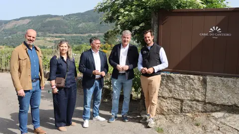 Nova convocatoria da Xunta para a reestructuración e reconversión de viñedos Nova convocatoria da Xunta para a reestructuración e reconversión de viñedos