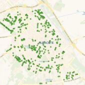 El plan de reposición de arbolado de la campaña 25/26 de Albacete supone la renovación de 721 ejemplares