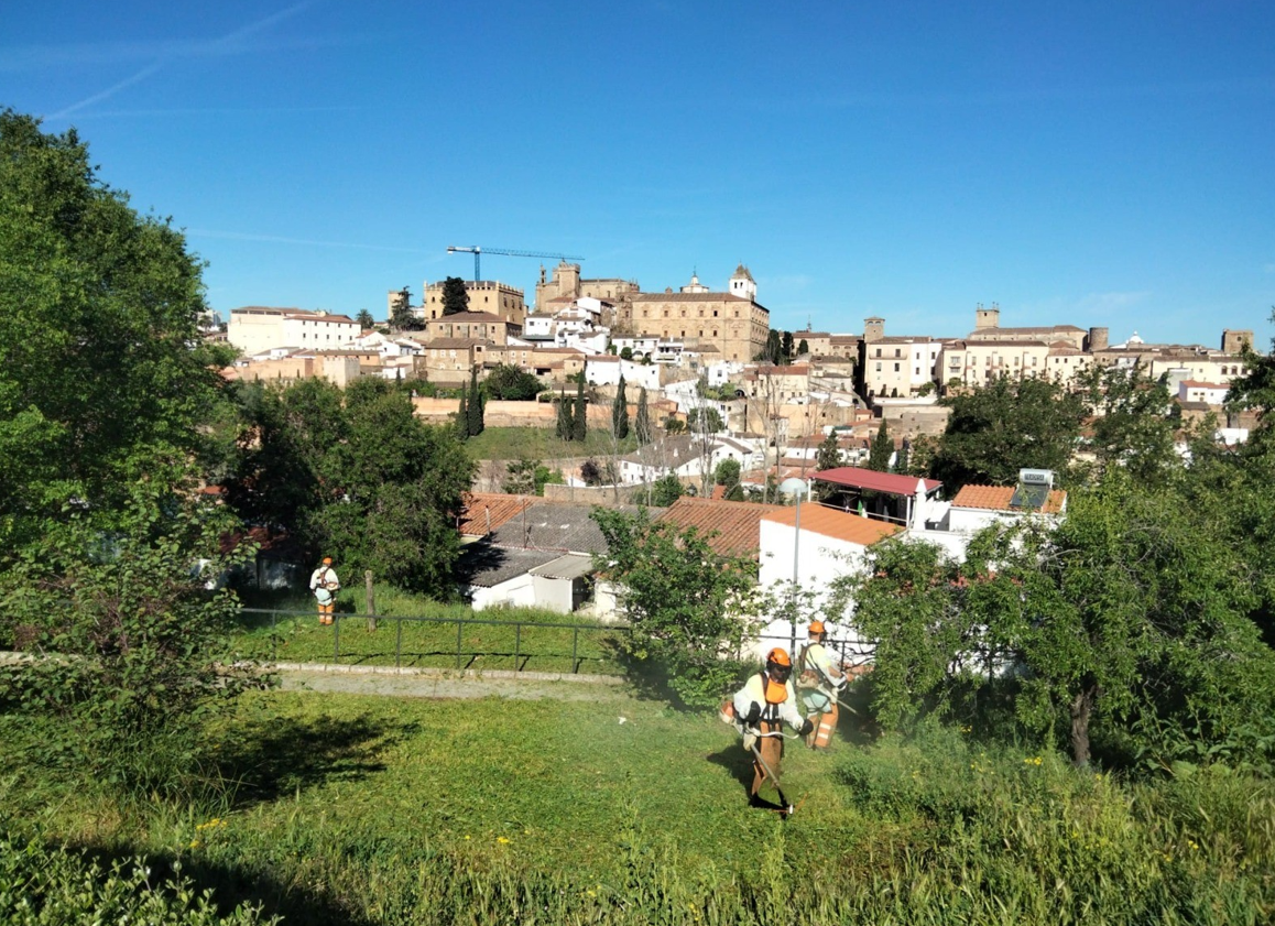 El ayuntamiento despliega un operativo especial para la bajada de la patrona, la Virgen de la Montaña El ayuntamiento despliega un operativo especial para la bajada de la patrona, la Virgen de la Montaña