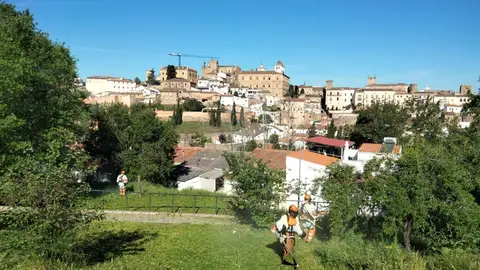 El ayuntamiento despliega un operativo especial para la bajada de la patrona, la Virgen de la Montaña El ayuntamiento despliega un operativo especial para la bajada de la patrona, la Virgen de la Montaña