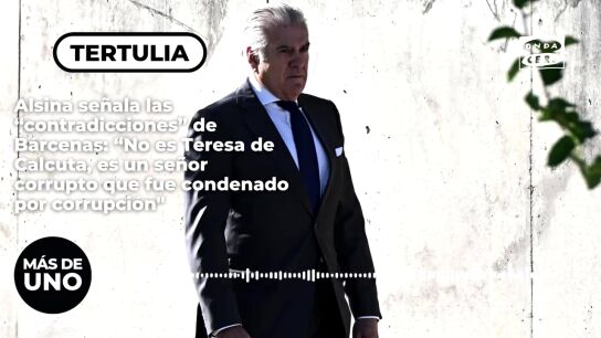 Alsina se&ntilde;ala las "contradicciones" de B&aacute;rcenas: "No es Teresa de Calcuta, es un se&ntilde;or corrupto que fue condenado por corrupci&oacute;n"
