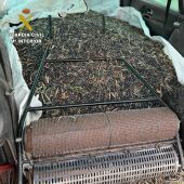 Aceituna robada intervenida por la Guardia Civil