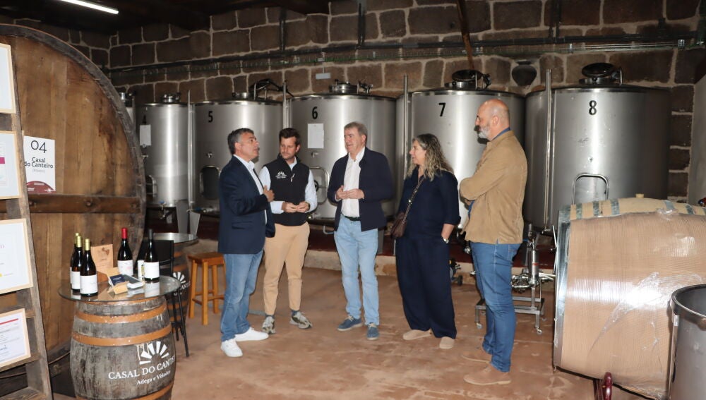 Nova convocatoria da Xunta para a reestructuración e reconversión de viñedos 