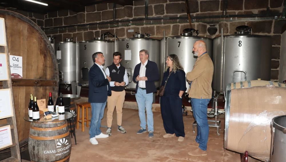 Nova convocatoria da Xunta para a reestructuración e reconversión de viñedos Nova convocatoria da Xunta para a reestructuración e reconversión de viñedos