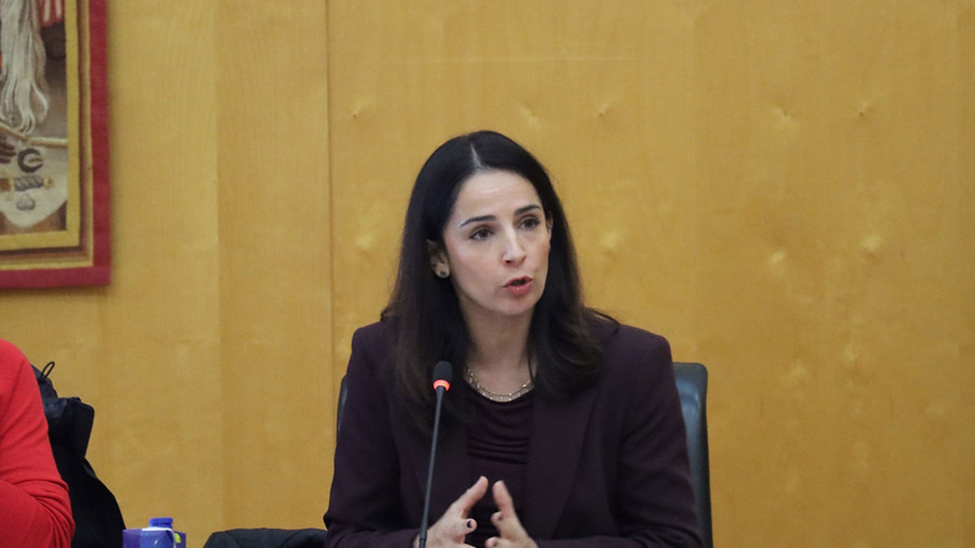 Crisis de acusaciones en Benidorm por la gestión de contratos menores del Ayuntamiento Crisis de acusaciones en Benidorm por la gestión de contratos menores del Ayuntamiento