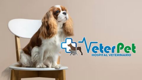 Tu mascota en la Onda VETERPET Tu mascota en la Onda VETERPET